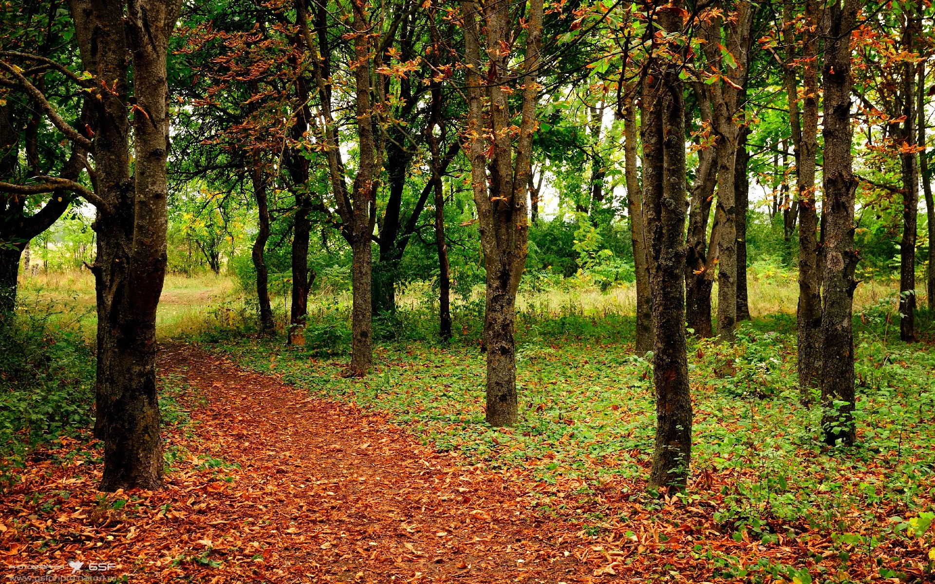 kaiyun官方入口登录-自由式滑雪赛事观赏性持续走高，自由式滑雪在哪个场馆