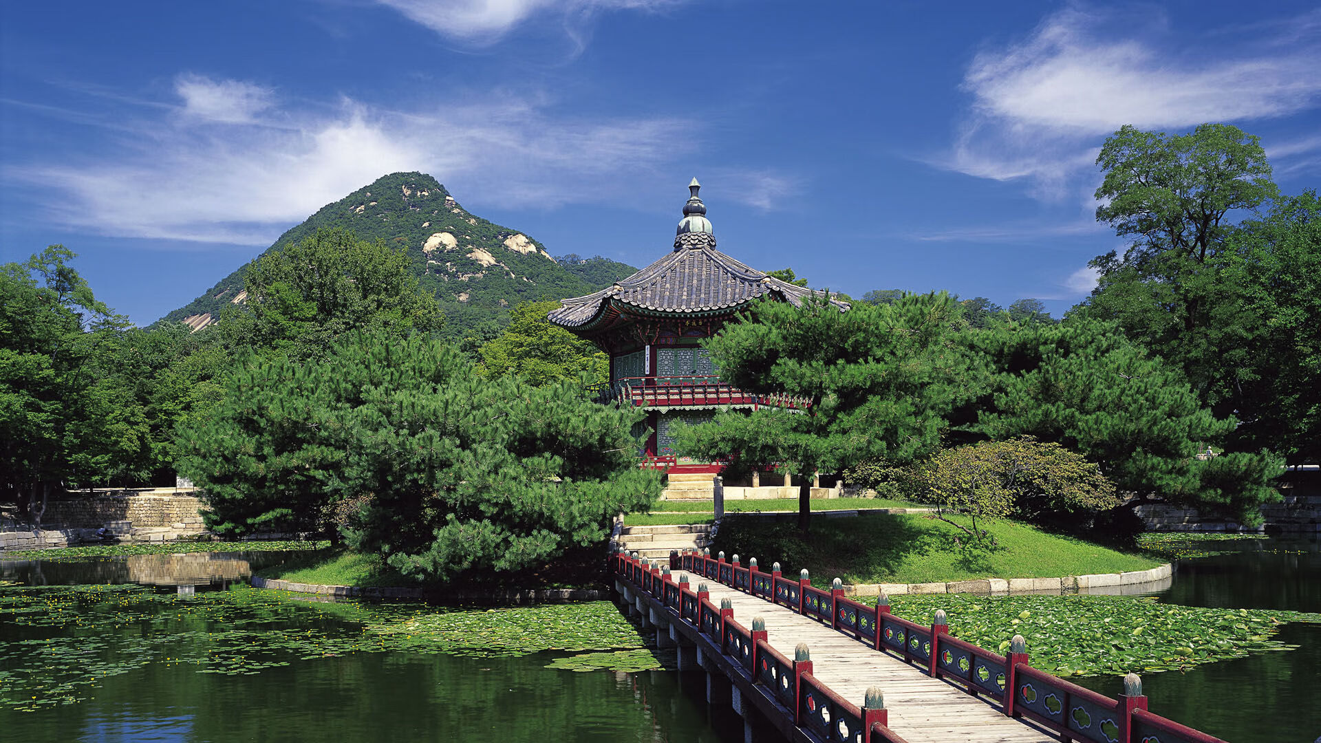 乌干达女篮在非洲锦标赛中奋战到底，期待突破极限，非洲乌干达国家