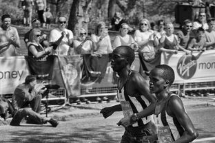 开云官方-塞内加尔男篮在非洲锦标赛中奋勇争冠，逐步崛起，塞内加尔非洲杯大名单