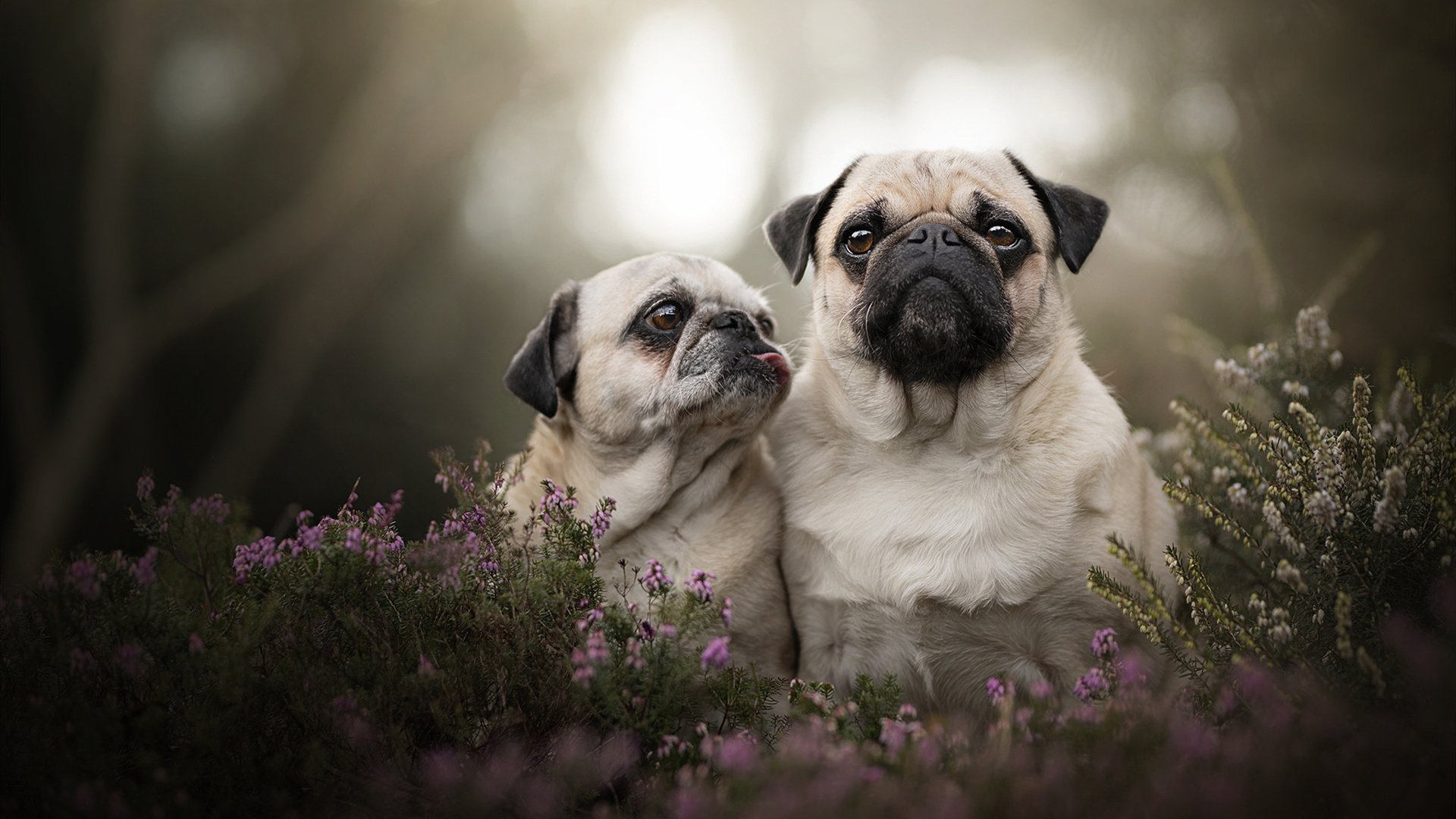 Kaiyun APP-女子排球主力阵容调整优化战术组合，女子排球队员组成