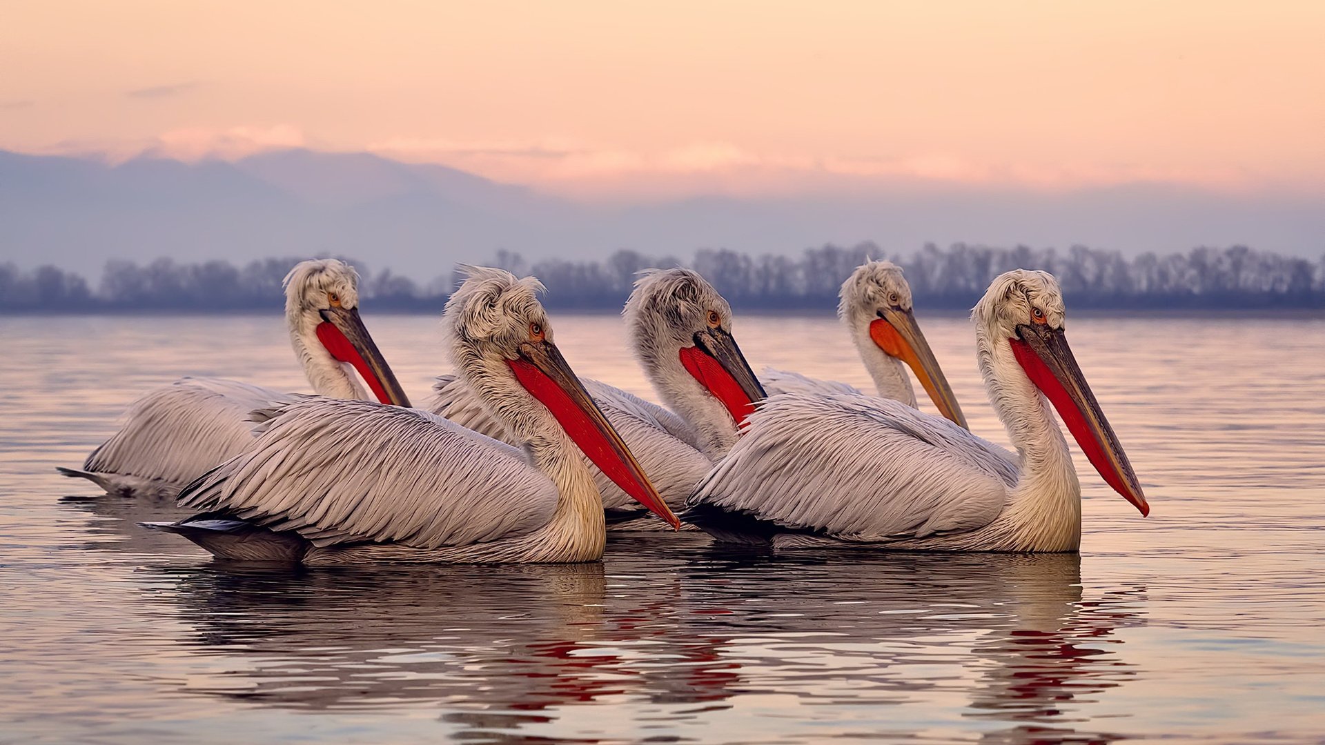Kaiyun APP-女子排球教练团队扩编聚焦细节训练，女子排球队特别训练