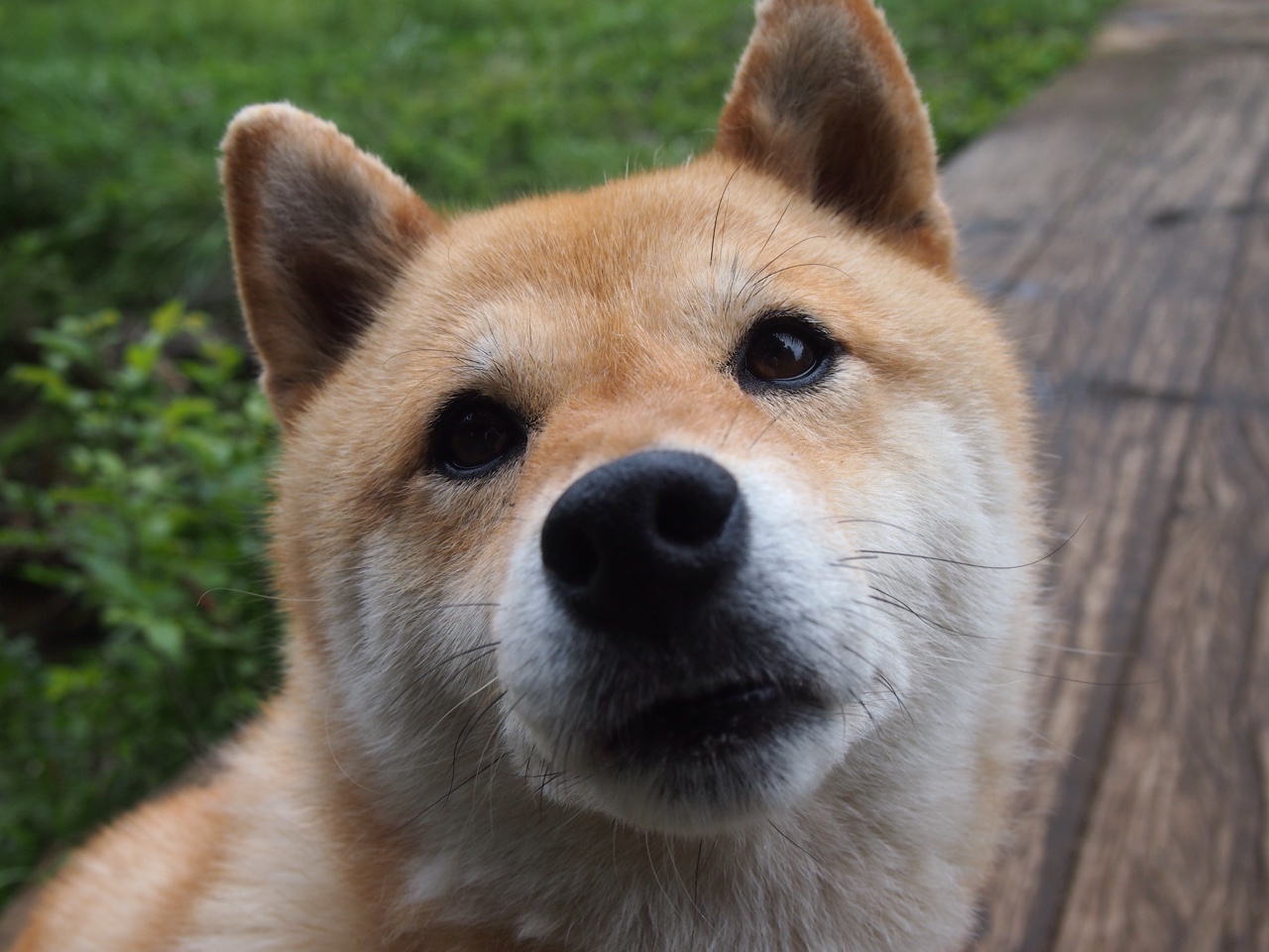 开云体育-欧洲杯黄金时段：战术瞬间的奇迹发生，欧洲杯精选时间